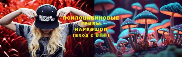 крисы Белоозёрский