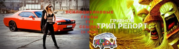 крисы Белоозёрский