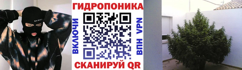 Бошки Шишки White Widow  где найти наркотики  ОМГ ОМГ онион  Няндома 